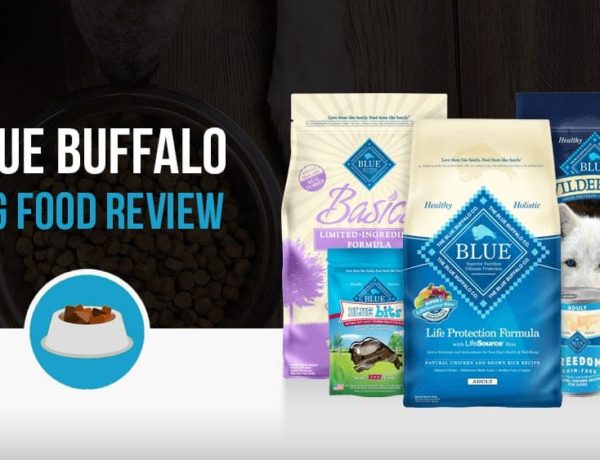 Blue Buffalo dog food