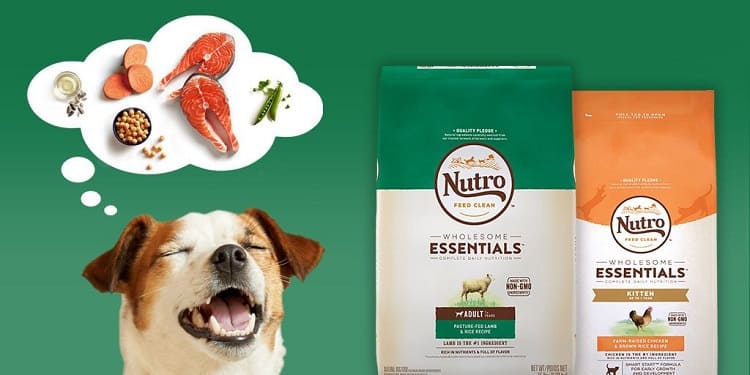 the nutro dog food company big review