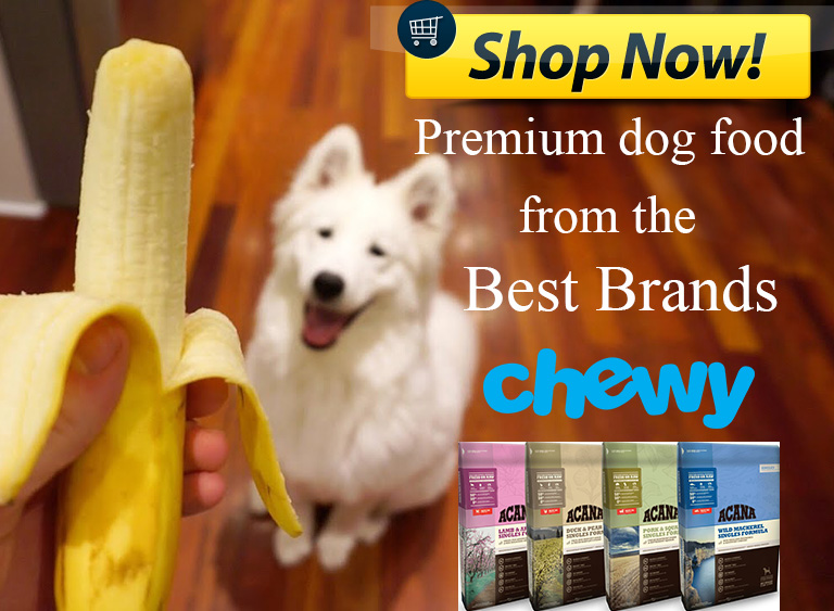 Can dogs eat bananas? How much banana can I give my dog?