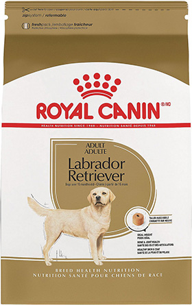 Dry food for adult dogs Royal Canin Labrador Retriever
