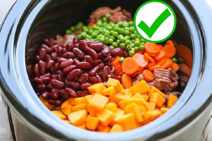 Homemade dog food recipe vet approved for small and adult dogs