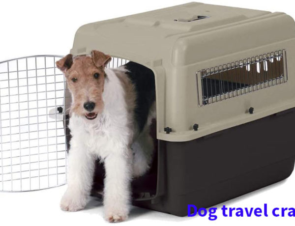 travel crate for medium sized dog