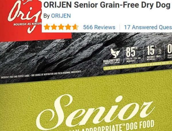 Orijen senior dog food review