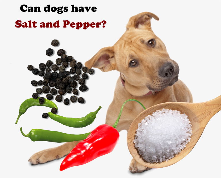 Can dogs have salt and pepper