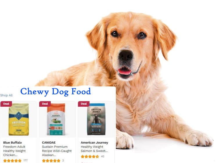 best chewy dog food