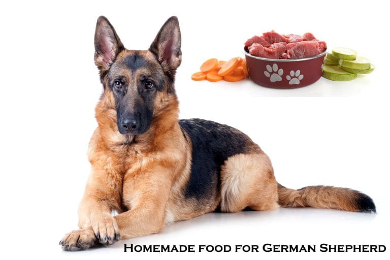 Homemade food for German Shepherd for puppies and adult dogs