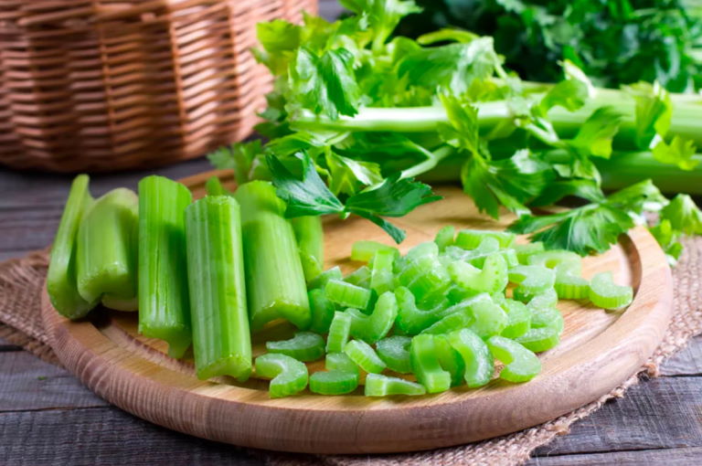Can dogs eat raw celery