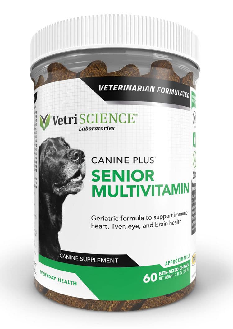Best vitamins for dogs. Natural supplements vet-recommended