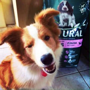 Guabi Natural dog food reviews