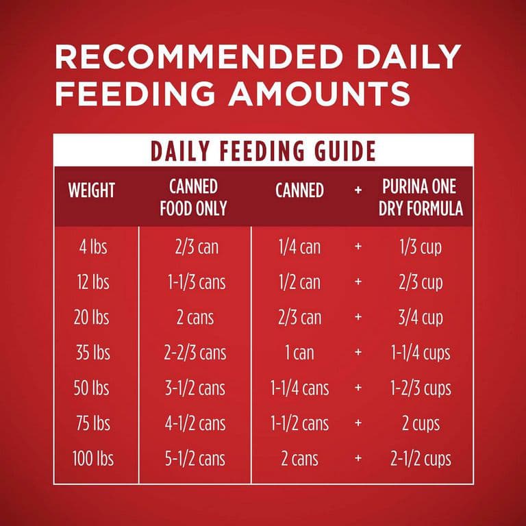 Canned dog food feeding rates (wet food)