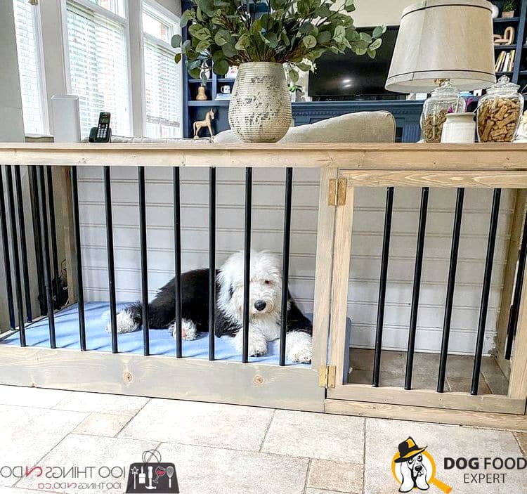 How to make a cage for a large dog?