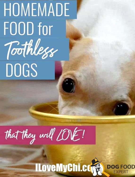 The best bowl for a dog without teeth