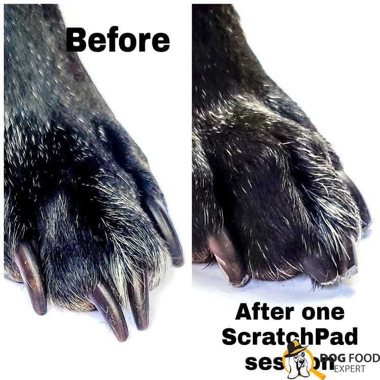 Dog claw scratcher