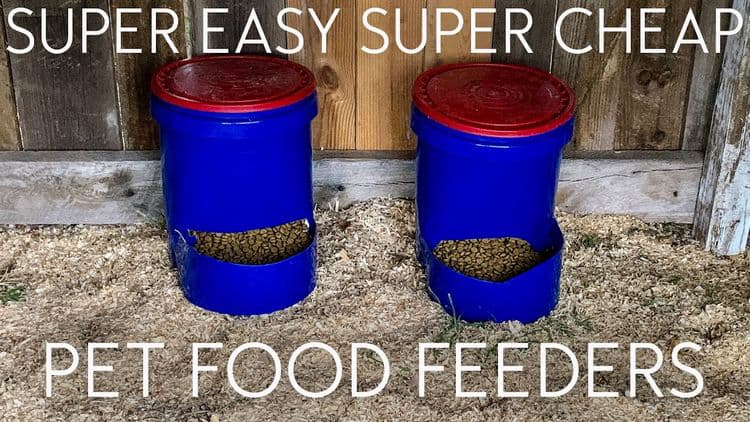 How to make a dog feeder from cat litter