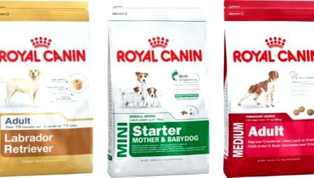 ROYAL CANIN dog food