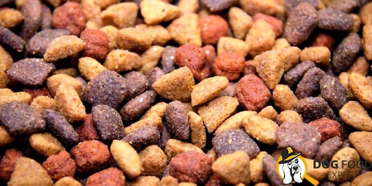 Best dog food for poodles with sensitive stomach part of the diet