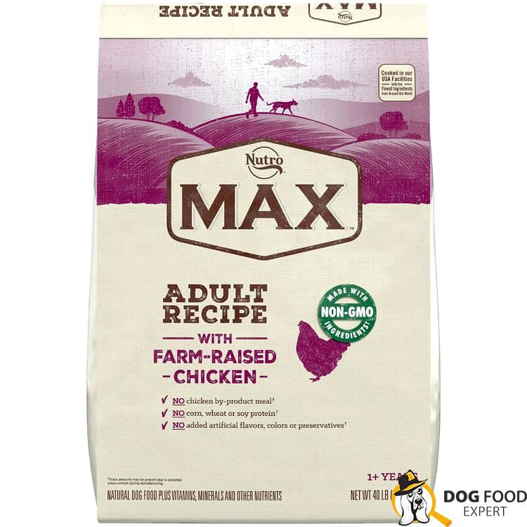 Nutro max dog food review
