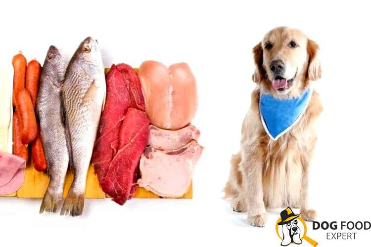 Pet food for puppies large breed Golden Retriever If they are in