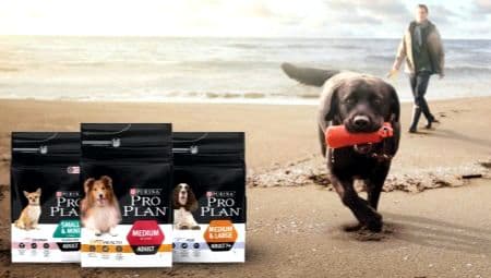 All about Purina Pro Plan food for dogs of large breeds
