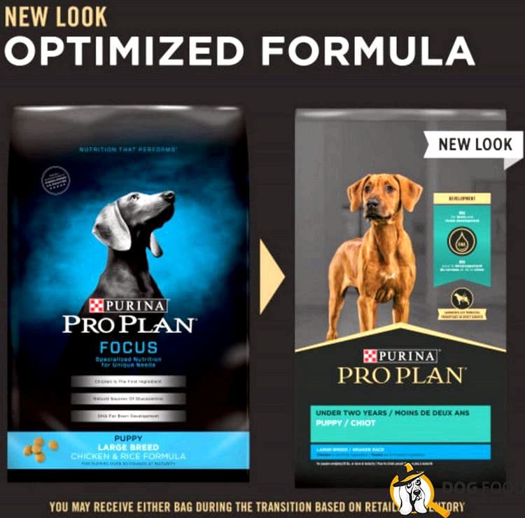Purina Pro Plan focus puppy large breeds food