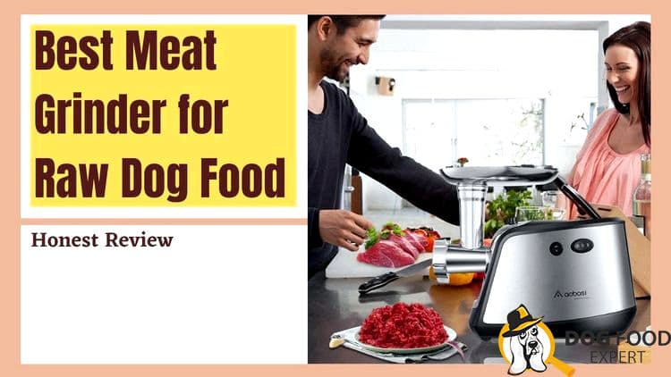 Best meat grinder for raw dog food