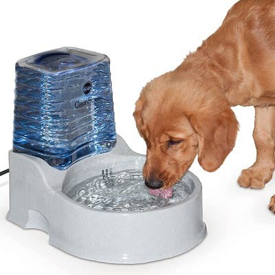 Automatic drinker for dogs of large and small breeds