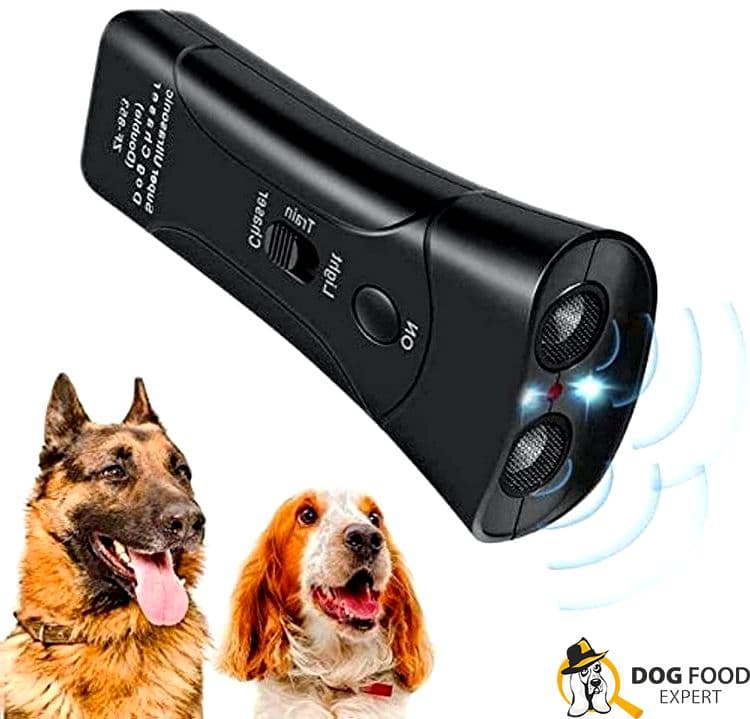 Flashlight for dog walking immersion in the