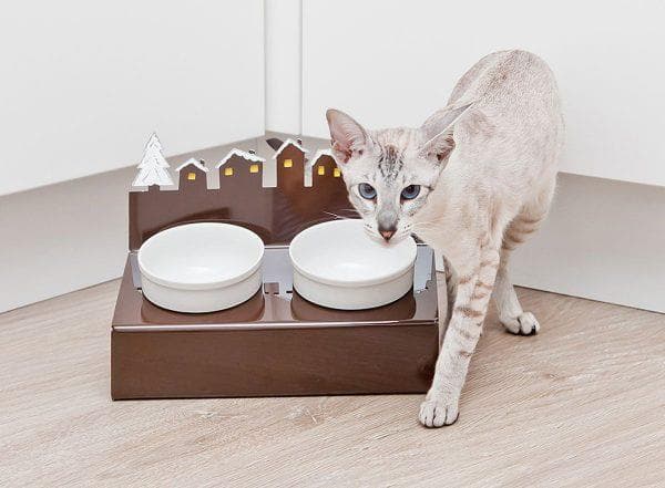 Cat next to ceramic bowls on a stand