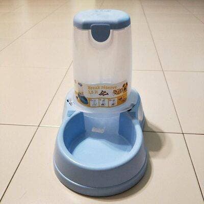 We are also well fed here: an automatic feeder for a cat