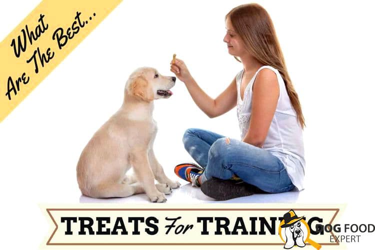 Types of training treats for puppies