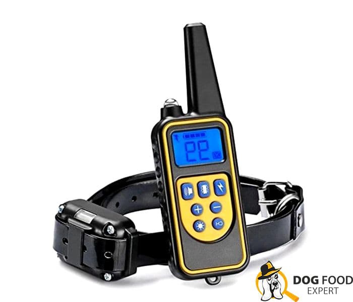 electronic collar for dog training