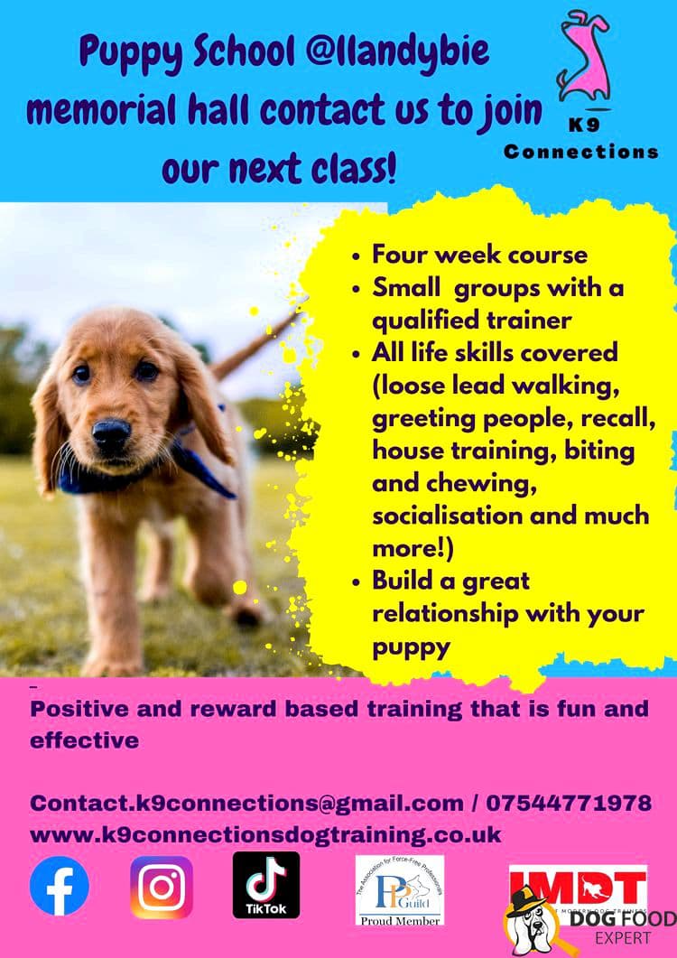 Good start of dog training - Puppy education dog training requires only positive